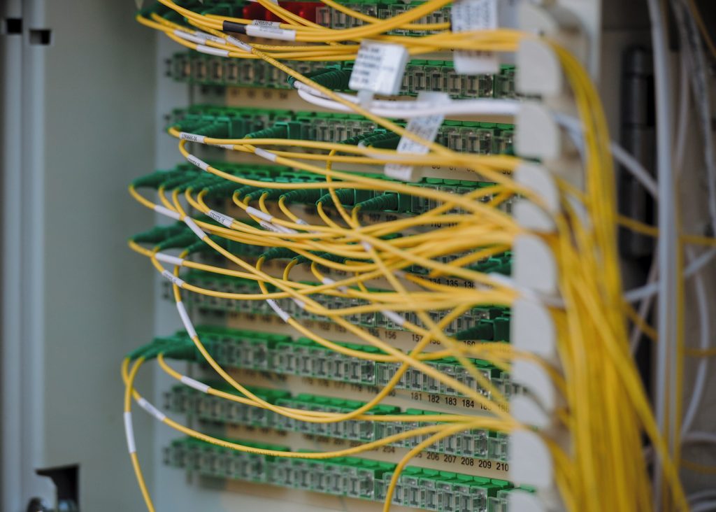 Neatly connected network cables, illustrating custom REST API integration for WordPress