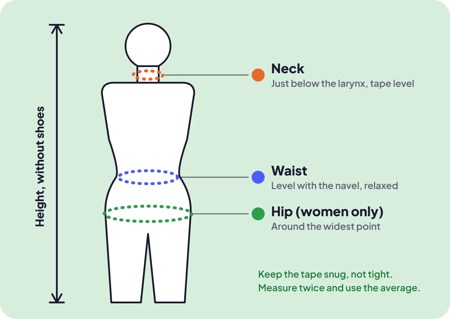 Where to measure neck, waist and hip for the body fat percentage calculator